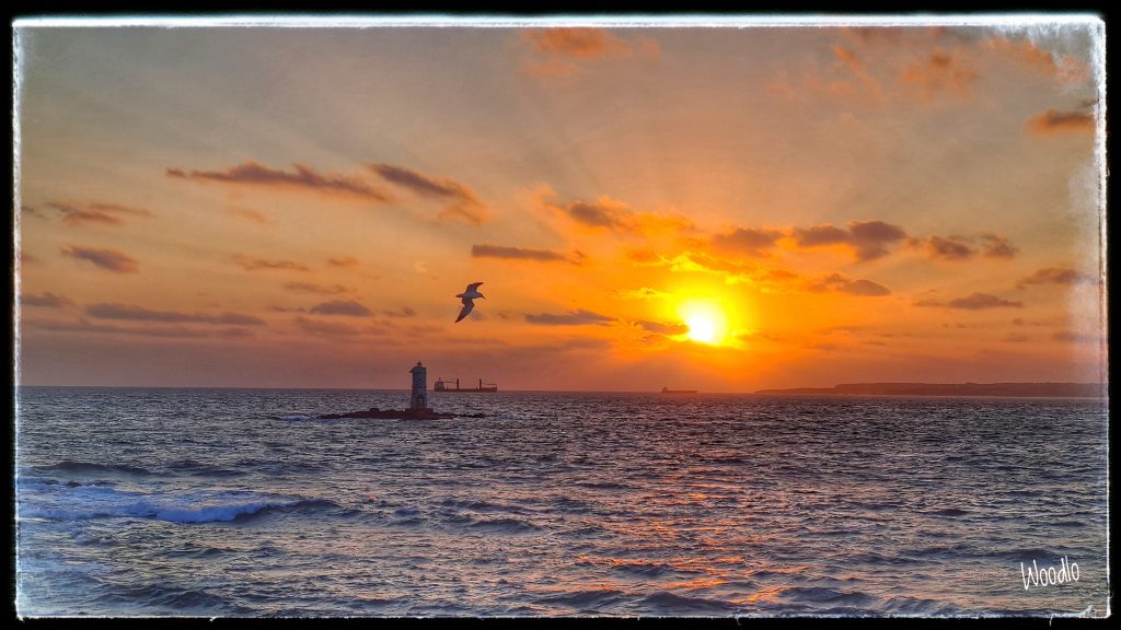 IL FARO MANGIABARCHE